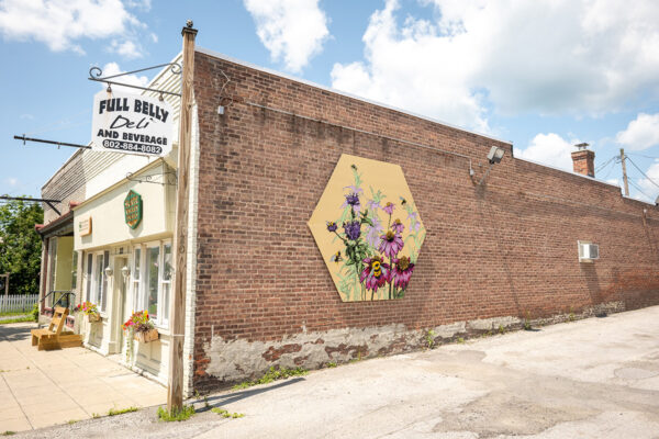 Flowers and Pollinators Poultney Downtown Mural Initiative