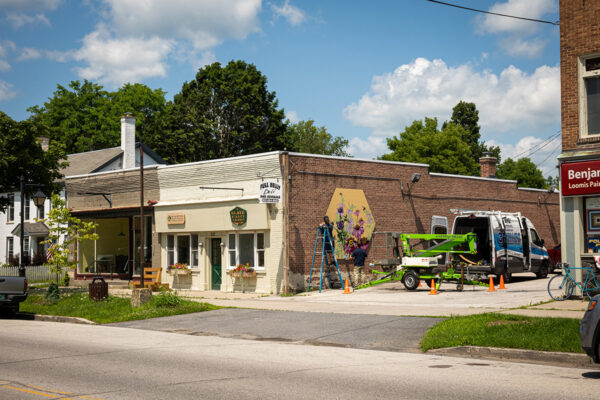 Installing Pollinator Poultney Downtown Mural Initiative