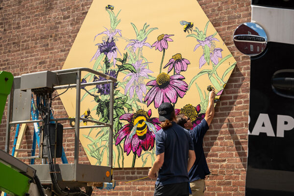Installing Pollinators Poultney Downtown Mural Initiative